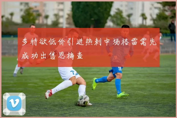 多特欲低价引进热刺中场格雷需先成功出售恩梅查