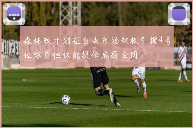 森林狼计划在自由市场积极引援4号位球员但仅能提供底薪合同